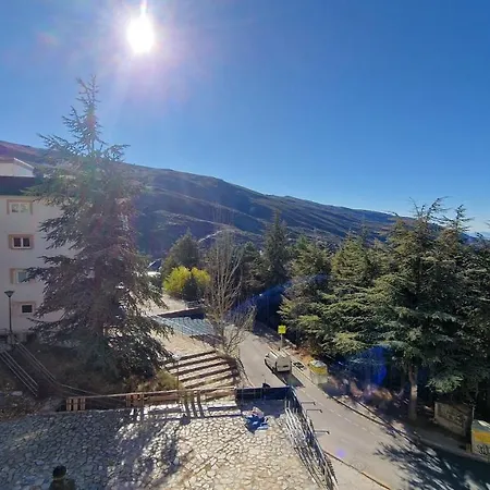 Imeda Primavera Apartmán *